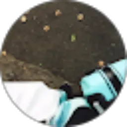 Review From Laila Amalia Fadhilah