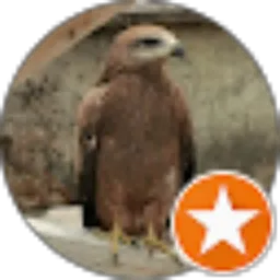 Review From AHMAD FAUZAN