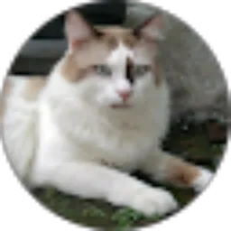 Review From Maulany Kusnadya