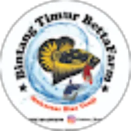 Review From buya hamka