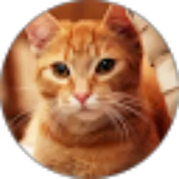 Review From Lava Hound