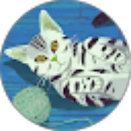 Review From Sarah Toma