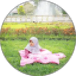 Review From diary's shahia