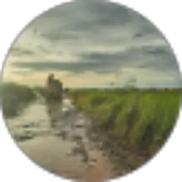 Review From Penjelajah Nusantara