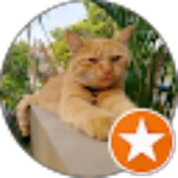 Review From Rizki Adisetia