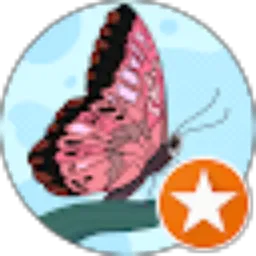 Review From Eka Hasibuan