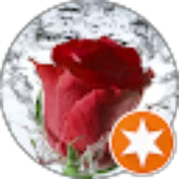 Review From Fendi Candra