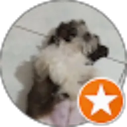 Review From Edy Kusuma