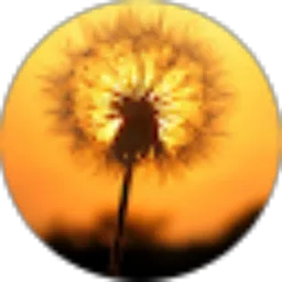 Review From Thina Python