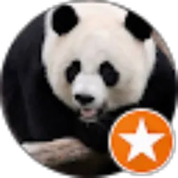 Review From Dwiyanto Hermawan