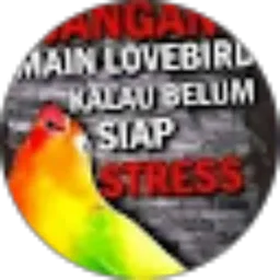 Review From Defa Maulana