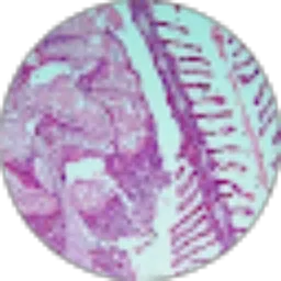 Review From Andria Meidina