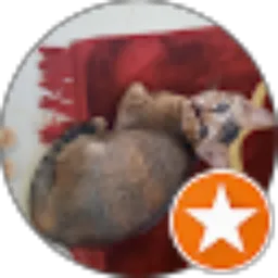 Review From Avilia A