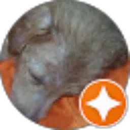 Review From penghuni C3