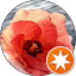 Review From lulumabelle