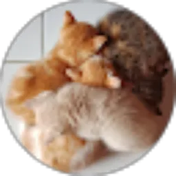 Review From Agus Resmana