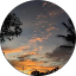 Review From Romy Nur Falah