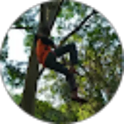 Review From Daffa Febri Anto Putra