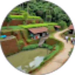 Review From maropen limbong