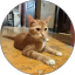 Review From Bonny Valerian