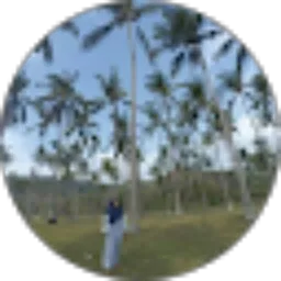 Review From azyyati syahruddin