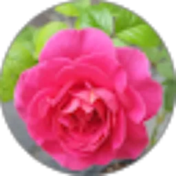 Review From Suzanne Efianti