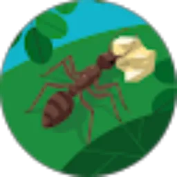 Review From Faris Rekzy