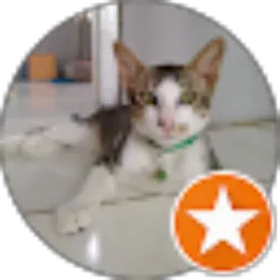 Review From Muhamad Sukin