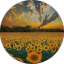 Review From SetyoRini why