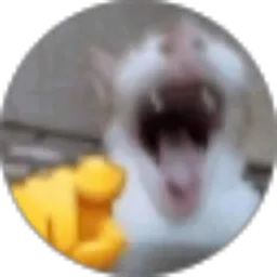 Review From Iqbal Haiekal