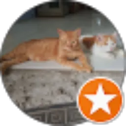 Review From Ardhiawan Casemiro