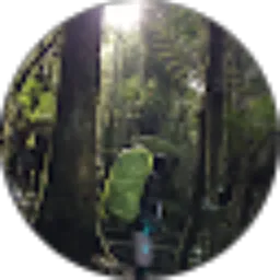 Review From Umega Mustova