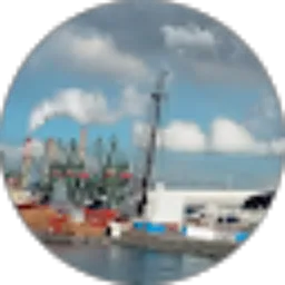 Review From Susana Susa