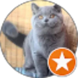 Review From Denny Dalimunthe