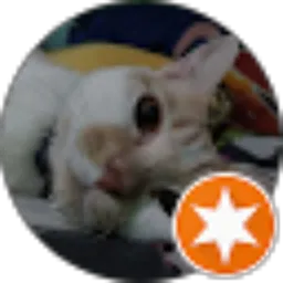 Review From Mega Herra