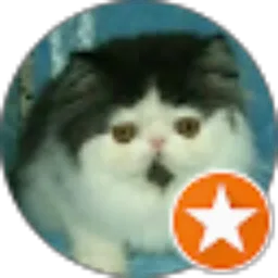 Review From Arif Syaifullah