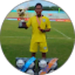 Review From Arief Nur Wahyudi