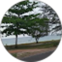 Review From Hariyadi Adi_25F1CE1B