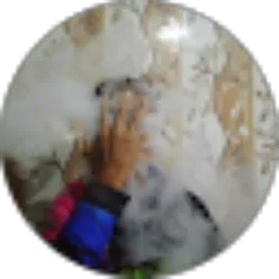 Review From Alvin Dwi