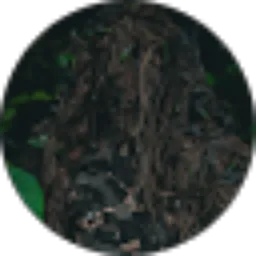 Review From Phinandhita Gusti