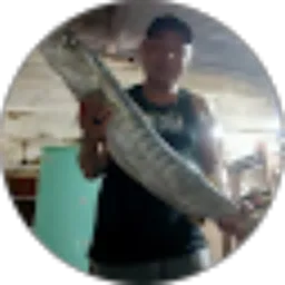 Review From Ikram Amrain