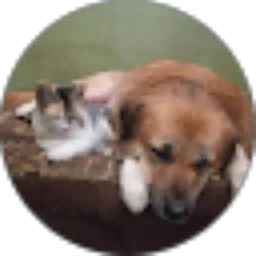 Review From Mutia Rahman