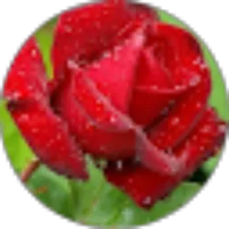 Review From Dewi Lestari