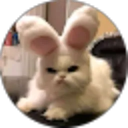 Review From Nurul Faizah