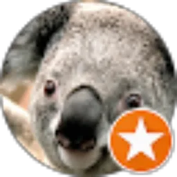 Review From Rimba Rbk