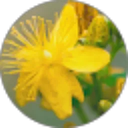 Review From rizma cubbygirl