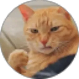 Review From Ur Future