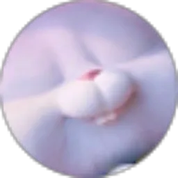 Review From Amalia Fitri qona'ah