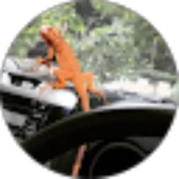 Review From rizky setyawan ristanto