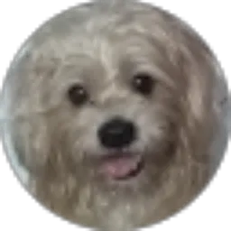 Review From antonius dwi saputra